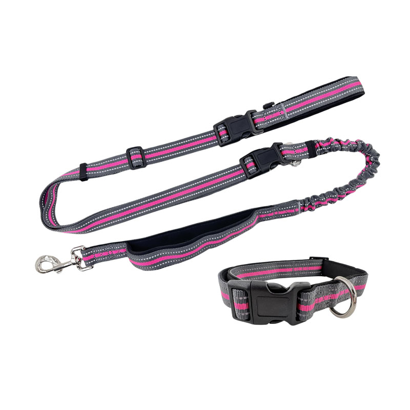 Double Handles Dog Leash untuk Latihan Keselamatan Kawalan